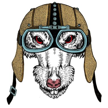 Bisikletli, motosikletli. Fare portresi. Deri bir kaskla. Motosiklet sembolü Çin mutlu yeni yıl 2020. Rock 'çı için hediye.