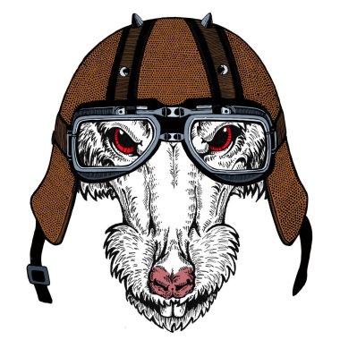 Bisikletli, motosikletli. Fare portresi. Deri bir kaskla. Motosiklet sembolü Çin mutlu yeni yıl 2020. Rock 'çı için hediye.