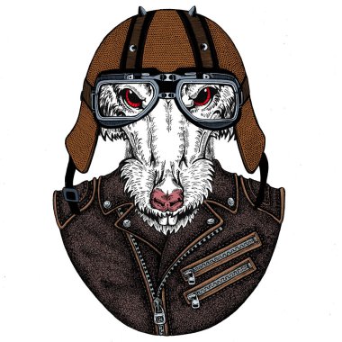 Bisikletli, motosikletli. Fare portresi. Deri bir kaskla. Motosiklet sembolü Çin mutlu yeni yıl 2020. Rock 'çı için hediye.