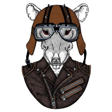 Bisikletli, motosikletli. Fare portresi. Deri bir kaskla. Motosiklet sembolü Çin mutlu yeni yıl 2020. Rock 'çı için hediye.