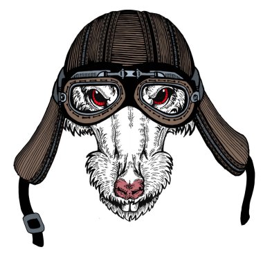 Bisikletli, motosikletli. Fare portresi. Deri bir kaskla. Motosiklet sembolü Çin mutlu yeni yıl 2020. Rock 'çı için hediye.