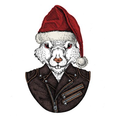 Noel Baba şapkası takan vahşi bir fare. Geleneksel Noel başlıklı bir hayvan. Çin 'in mutlu yeni yılı 2020.