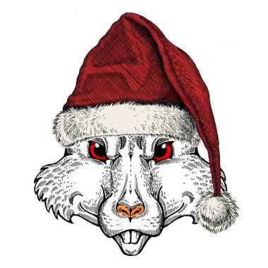 Noel Baba şapkası takan vahşi bir fare. Geleneksel Noel başlıklı bir hayvan. Çin 'in mutlu yeni yılı 2020.