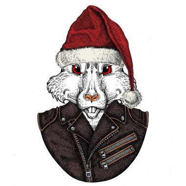 Noel Baba şapkası takan vahşi bir fare. Geleneksel Noel başlıklı bir hayvan. Çin 'in mutlu yeni yılı 2020.