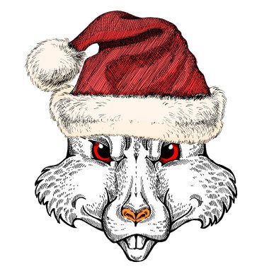 Noel Baba şapkası takan vahşi bir fare. Geleneksel Noel başlıklı bir hayvan. Çin 'in mutlu yeni yılı 2020.