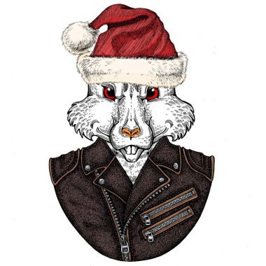 Noel Baba şapkası takan vahşi bir fare. Geleneksel Noel başlıklı bir hayvan. Çin 'in mutlu yeni yılı 2020.