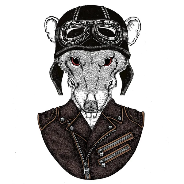 Biker, motorcyclist. Rat portrait. with leather vintage helmet. Motorcycle symbol chinese happy new year 2020. Gift for rocker. — Stock Photo, Image