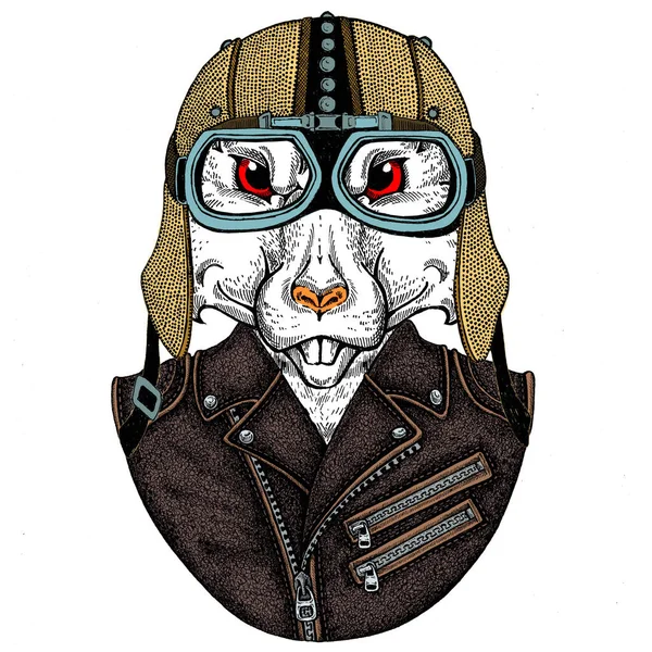 Bisikletli, motosikletli. Fare portresi. Deri bir kaskla. Motosiklet sembolü Çin mutlu yeni yıl 2020. Rock 'çı için hediye.