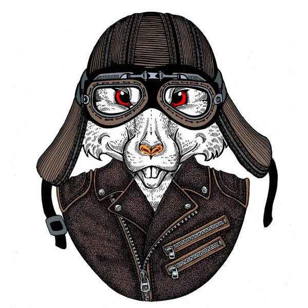 Bisikletli, motosikletli. Fare portresi. Deri bir kaskla. Motosiklet sembolü Çin mutlu yeni yıl 2020. Rock 'çı için hediye.