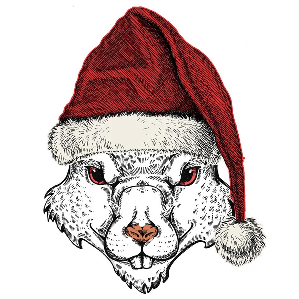 Wilde rat met de Kerstman hoed op. Dier met traditionele kersthoofdtooi. Symbool Chinees gelukkig nieuwjaar 2020. — Stockfoto