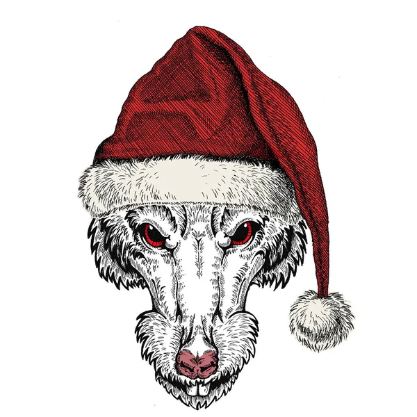 Noel Baba şapkası takan vahşi bir fare. Geleneksel Noel başlıklı bir hayvan. Çin 'in mutlu yeni yılı 2020.