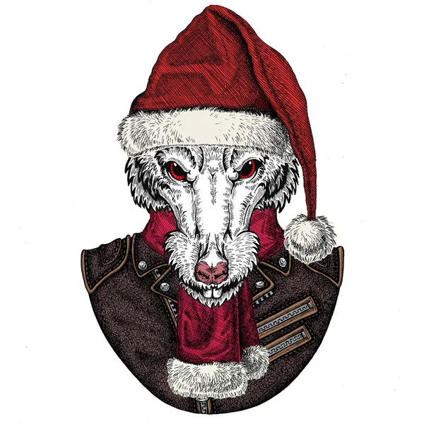 Dziki szczur w czapce Świętego Mikołaja. Zwierzę z tradycyjnym świątecznym nakryciem głowy. Symbol chiński szczęśliwy nowy rok 2020. — Zdjęcie stockowe
