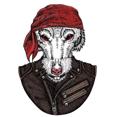 Motosikletli, motorcu hayvan. Bandana takan vahşi fare portresi. Çin 'in mutlu yeni yılı 2020.