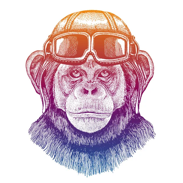 Şempanze, maymun eski model havacı deri kaskı takıyor. Görüntü eski tarzda. Uçuş kulübü ya da motosikletçi amblemi. Vektör illüstrasyonu, tişört baskısı, rozet amblemi yaması — Stok Vektör