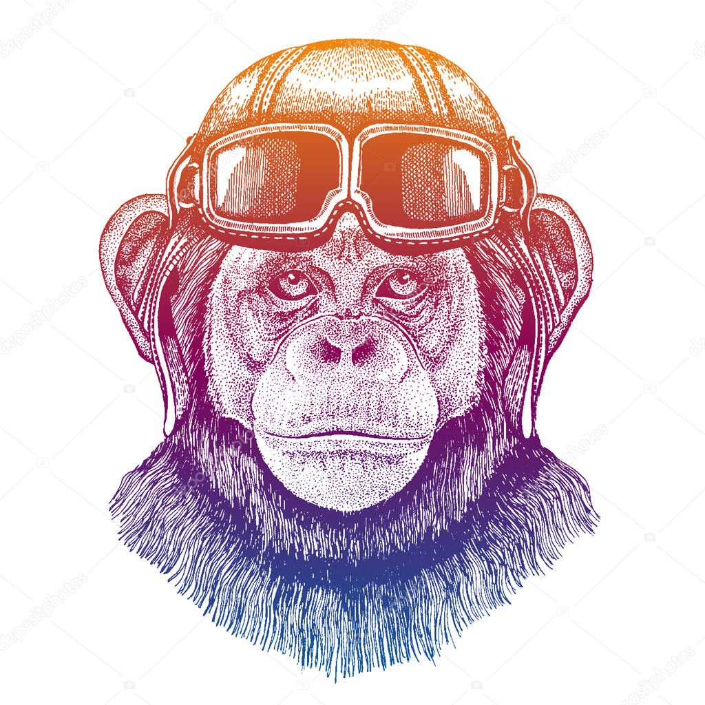Chimpanzee, monkey wearing vintage aviator leather helmet. Image in retro style. Flying club or motorcycle biker emblem. Vector illustration, print for tee shirt, badge logo patch