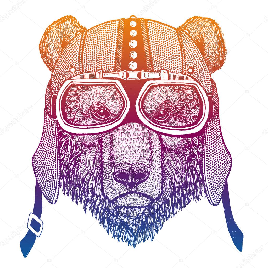 Brown bear Russian bear Hand drawn image for tattoo, t-shirt, emblem, badge, logo, patch