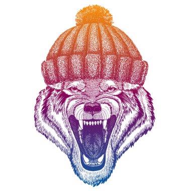 Kurt, köpek. Kayak, yün örgü şapka giyen kayakçı hayvan. Noel zamanı. Küçük çocuklar için çizgi film karakteri. Çocuklar tişörtler için baskı yapar, T-E. Çocuk odası dekoru.