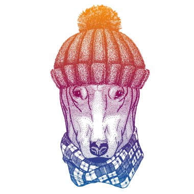 Köpek. Kayak, yün örgü şapka giyen kayakçı hayvan. Noel zamanı. Küçük çocuklar için çizgi film karakteri. Çocuklar tişört için yazdırır