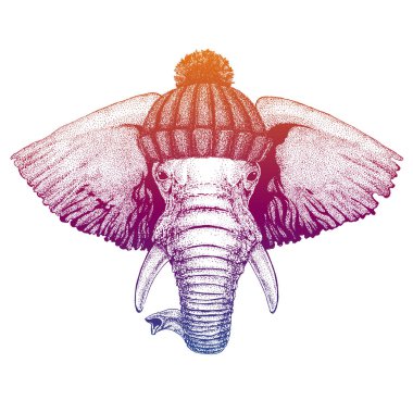 - Fil. Kayak, yün örgü şapka giyen kayakçı hayvan. Noel zamanı. Küçük çocuklar için çizgi film karakteri. Çocuklar tişört için yazdırır