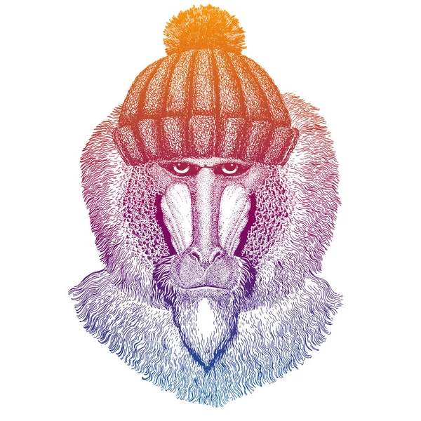 Ski, skier monkey, baboon, ape. Animal wearing woolen knitted hat. Christmas time. Cartoon character for little children. Kids print for tee — Stock Vector