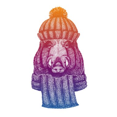 Yaban domuzu, domuz, yaban domuzu. Kayak, yün örgü şapka giyen kayakçı hayvan. Noel zamanı. Küçük çocuklar için çizgi film karakteri. Çocuklar gömlek için baskı yapar. Çocuk odası dekoru.