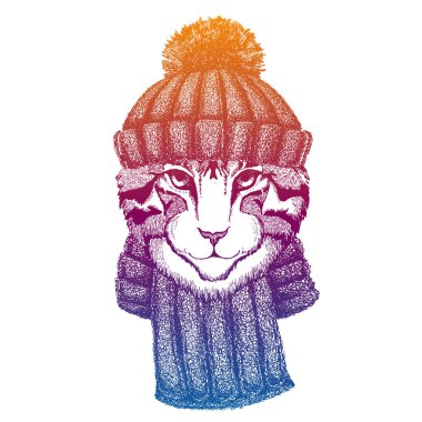 Evcil kedi. Kayak, yün örgü şapka giyen kayakçı hayvan. Noel zamanı. Küçük çocuklar için çizgi film karakteri. Çocuklar gömlek için baskı yapar. Çocuk odası dekoru.