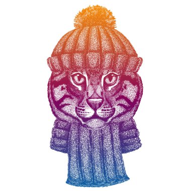 Vahşi balıkçı kedi. Kayak, yün örgü şapka giyen kayakçı hayvan. Noel zamanı. Küçük çocuklar için çizgi film karakteri. Çocuklar gömlek için baskı yapar. Çocuk odası dekoru.