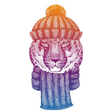 Vahşi kedi, leopar, jaguar, panter. Kayak, yün örgü şapka giyen kayakçı hayvan. Noel zamanı. Küçük çocuklar için çizgi film karakteri. Çocuklar gömlek için baskı yapar. Çocuk odası dekoru.