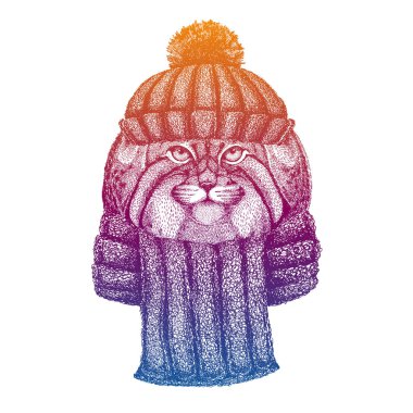 Manul, vahşi kedi. Kayak, yün örgü şapka giyen kayakçı hayvan. Noel zamanı. Küçük çocuklar için çizgi film karakteri. Çocuklar gömlek için baskı yapar. Çocuk odası dekoru.