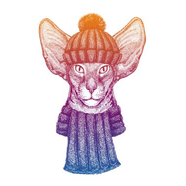 Kedi. Kayak, yün örgü şapka giyen kayakçı hayvan. Noel zamanı. Küçük çocuklar için çizgi film karakteri. Çocuklar gömlek için baskı yapar. Çocuk odası dekoru.