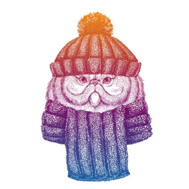 Kedi. Kayak, yün örgü şapka giyen kayakçı hayvan. Noel zamanı. Küçük çocuklar için çizgi film karakteri. Çocuklar gömlek için baskı yapar. Çocuk odası dekoru.