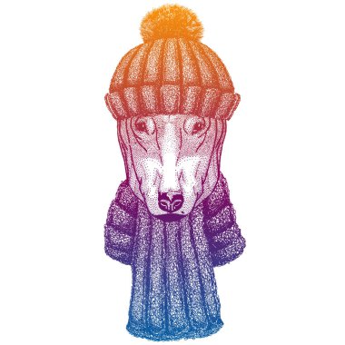 Köpek. Kayak, yün örgü şapka giyen kayakçı hayvan. Noel zamanı. Küçük çocuklar için çizgi film karakteri. Çocuklar gömlek için baskı yapar. Çocuk odası dekoru.