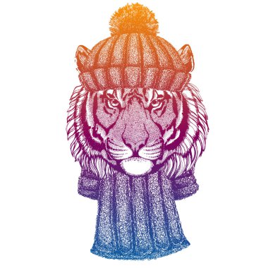 Vahşi kaplan. Kayak, yün örgü şapka giyen kayakçı hayvan. Noel zamanı. Küçük çocuklar için çizgi film karakteri. Çocuklar gömlek için baskı yapar. Çocuk odası dekoru.