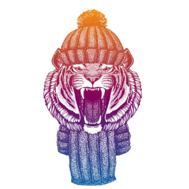 Kaplan. Kayak, yün örgü şapka giyen kayakçı hayvan. Noel zamanı. Küçük çocuklar için çizgi film karakteri. Çocuklar gömlek için baskı yapar. Çocuk odası dekoru.