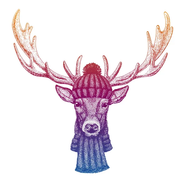 Deer. Ski, skier animal wearing woolen knitted hat. Christmas time. Cartoon character for little children. Kids print for shirts. Nursery decor. — Stock Vector