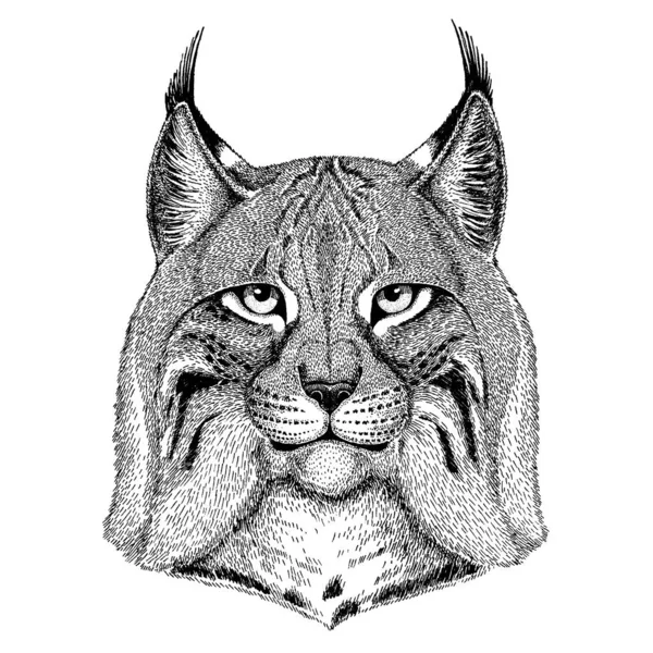 Chat sauvage, Lynx, Bobcat, Trot. Animal sauvage pour tatouage, affiche de pépinière, tee pour enfants, vêtements, affiches, emblème, insigne, logo, patch — Image vectorielle