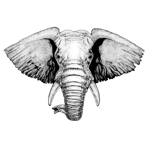 Elephant. Wild animal for tattoo, nursery poster, children tee, clothing, posters, emblem, badge, logo, patch — 스톡 벡터