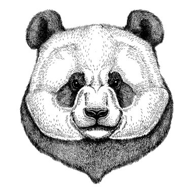Panda, bamboo bear. Wild animal for tattoo, nursery poster, children tee, clothing, posters, emblem, badge, logo, patch