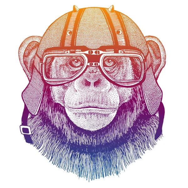 Chimpanzee wearing motorcycle helmet. Speed and road. Vintage style vector illustration. Face of dangerous wild animal. Portrait of biker. Realistic head of monkey. — 图库矢量图片