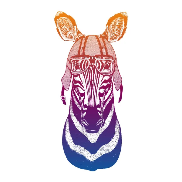 Wild zebra wearing motorcycle helmet. Speed and road. Vintage style vector illustration. Face of african animal. Portrait of biker. Realistic head of mammal. — Stok Vektör