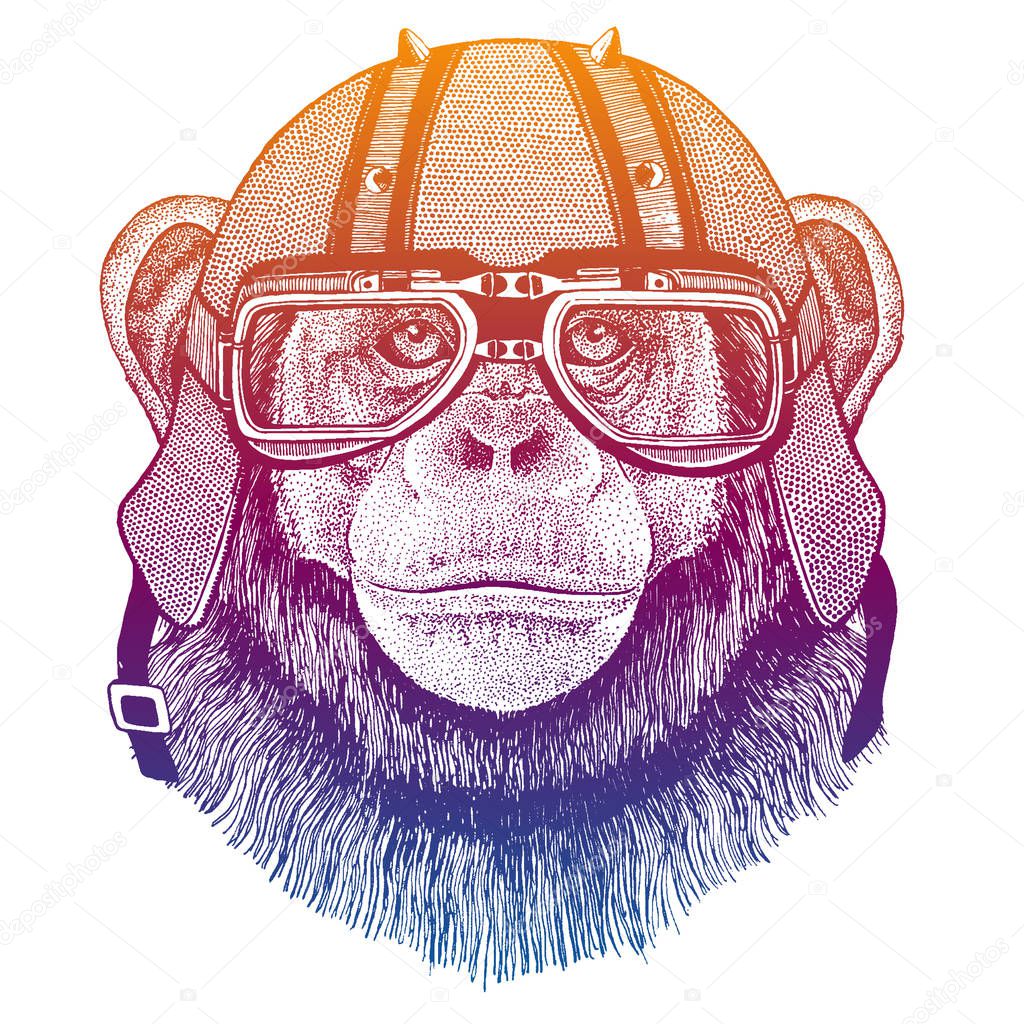 Chimpanzee wearing motorcycle helmet. Speed and road. Vintage style vector illustration. Face of dangerous wild animal. Portrait of biker. Realistic head of monkey.