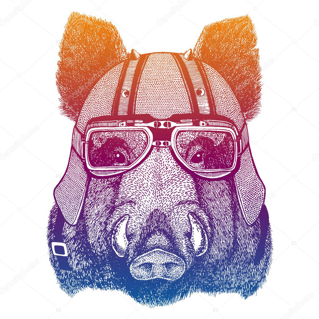 Hog, aper, boar wearing motorcyle helmet. Speed and road. Vintage style vector illustration. Face of dangerous wild animal. Portrait head of biker.