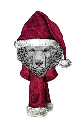 Noel Baba şapkası takan vahşi ayının portresi