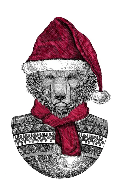รูปภาพของหมีป่าสวมหมวก Chrismtas Santa Claus — ภาพถ่ายสต็อก