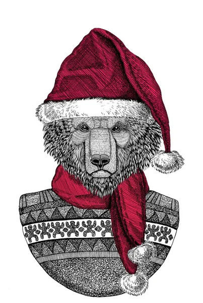 รูปภาพของหมีป่าสวมหมวก Chrismtas Santa Claus — ภาพถ่ายสต็อก