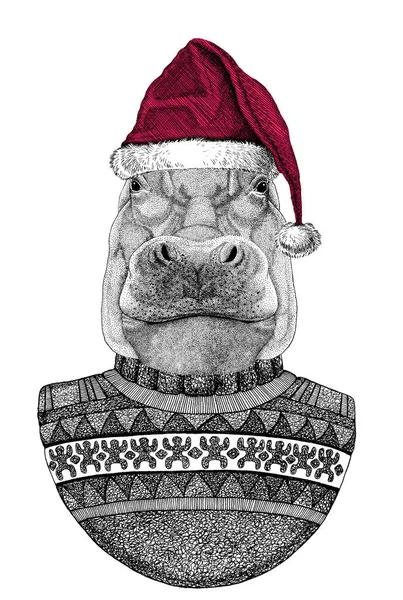 Portrait of Hippopotamus wearing Chrismtas Santa Claus hat — 스톡 사진