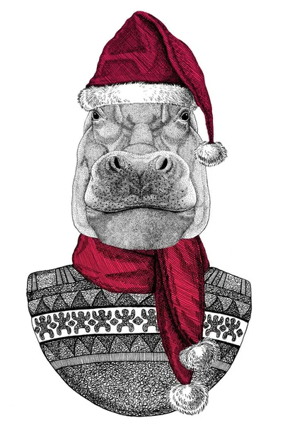 Portrait of Hippopotamus wearing Chrismtas Santa Claus hat — 스톡 사진