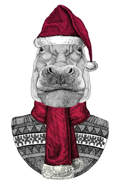 Portrait of Hippopotamus wearing Chrismtas Santa Claus hat — 스톡 사진