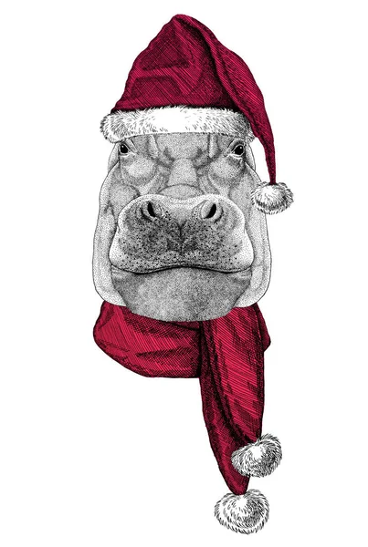 Portret hipopotama w kapeluszu Chrystusa Świętego Mikołaja — Zdjęcie stockowe