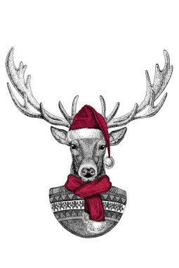Noel Baba şapkası takan vahşi geyik portresi